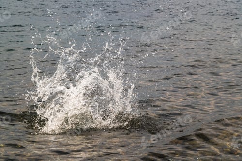 Preview: Throwing Stones in the Water