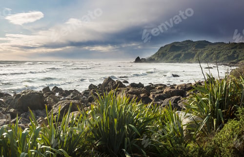 Preview: New Zealand coast