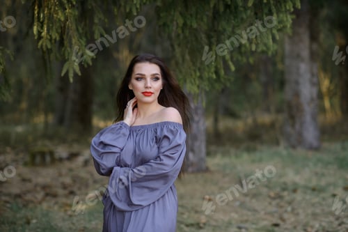 Preview: beautiful caucasian girl in an evening dress in the forest in the evening in summer