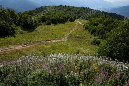 Preview: Picturesque view of gravel road and forest in mountains