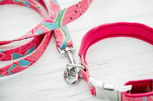 Preview: Dog Collar and Leash set. Pet Supplies and Walking Gear Collection