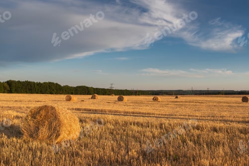 Preview: Sunset on the field with haystack