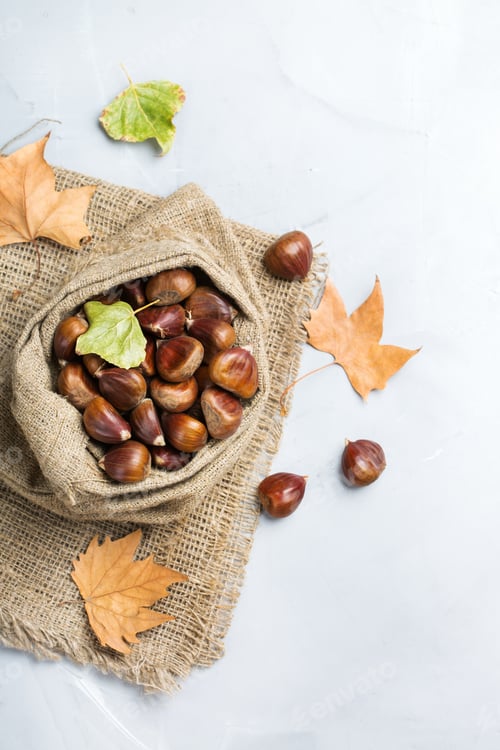 Preview: Harvest fall autumn concept. Ripe raw chestnuts in canvas bag