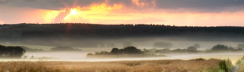 Preview: Green fields and blue skies