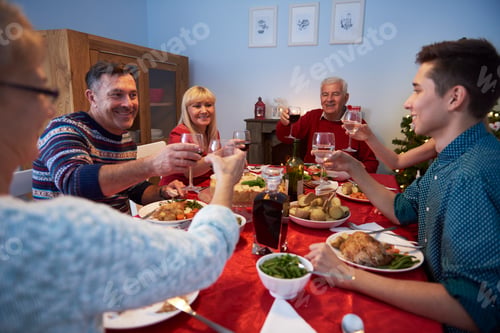 Preview: Family making a toast for a happy year