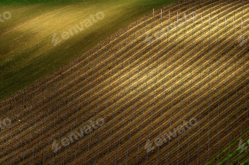 Preview: Detail of South Moravian field, Czech republic.