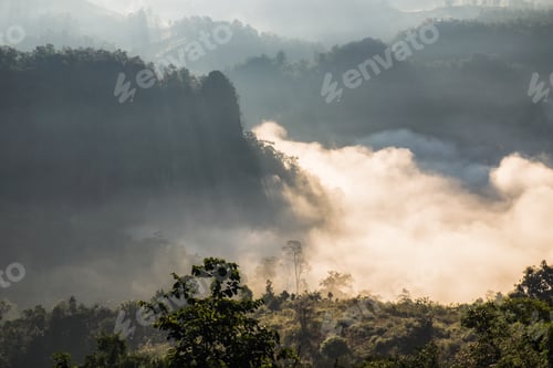 Preview: Scenic landscape on foggy valley at sunrise