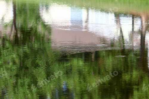Preview: Reflections And Water Circles - Photograph Of A Pond With Reflections And Ripples Of Water.
