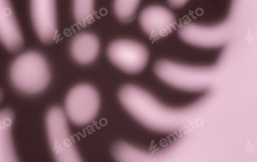 Preview: Shadows from monstera leaves