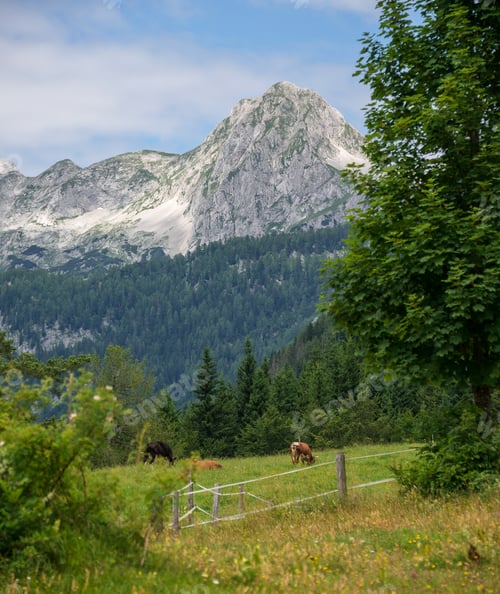 Preview: Hiking over the meadows and hills