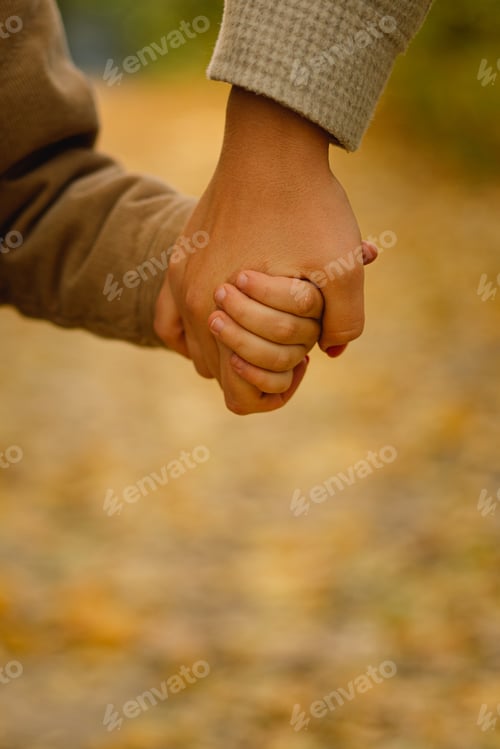 Preview: Mom and son hold hands. Happy family and support. Family day.