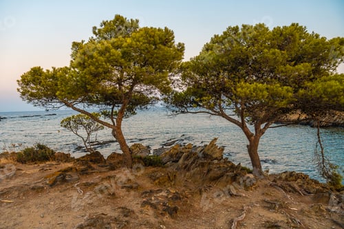 Preview: Sunset at Platja De S'arenella in Cadaques, a town on the Costa Brava of Catalonia