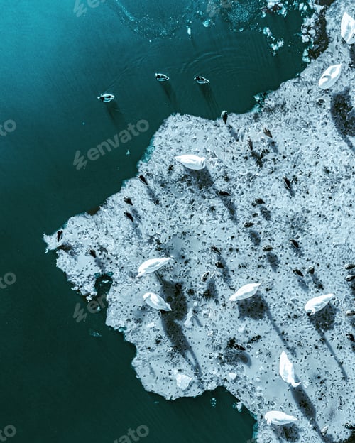 Preview: Vertical top view of the frozen shore captured during the daytime in winter
