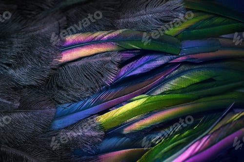 Preview: Decorative background with natural pattern.