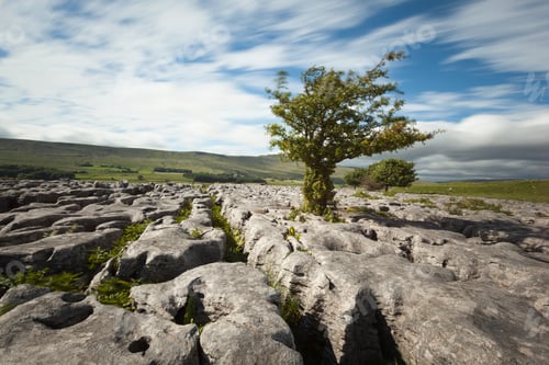 Preview: UK, England, Yorkshire Dales National Park, Limestones
