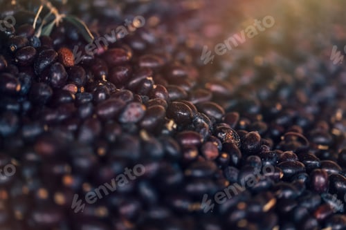 Preview: Black Olives Background