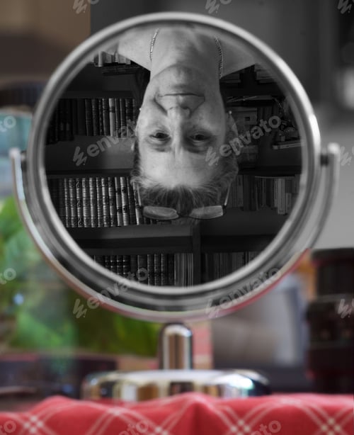 Preview: Reverse view in a Mirror