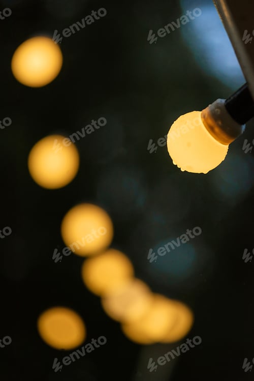 Preview: atmospheric warm light bulbs wrapped