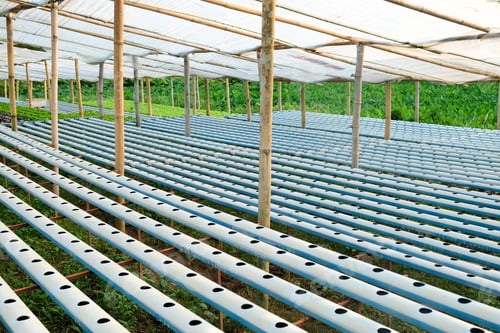 Preview: Hydroponics vegetable farm