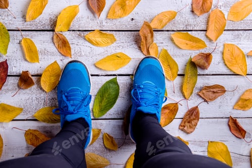 Preview: Legs of runner. Blue sports shoes. Colorful autumn leaves.