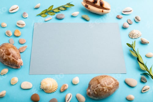 Visualização: Composição com folha de papel cinza, conchas marinhas, buxo verde. maquete em fundo azul pastel