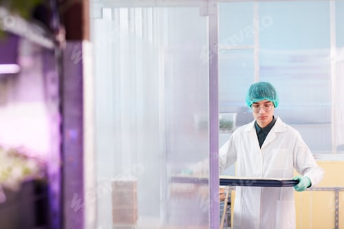 Preview: Scientist Examining Plants in a Research Environment