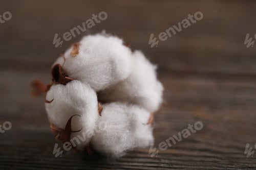 Preview: Cotton flower