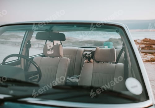 Preview: Dog sitting in the backseat of an old stylish car
