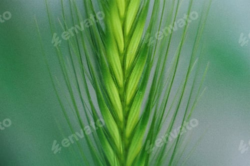 Preview: Plant part pattern