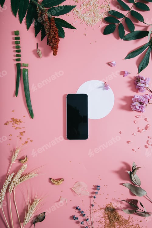 Preview: Phone with a clear screen and white circle shape in flowers on pink background. Flat lay. Top view