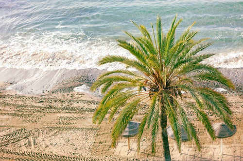 Preview: Marbella beach in January, Spain