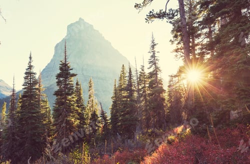 Preview: Autumn in Glacier Park