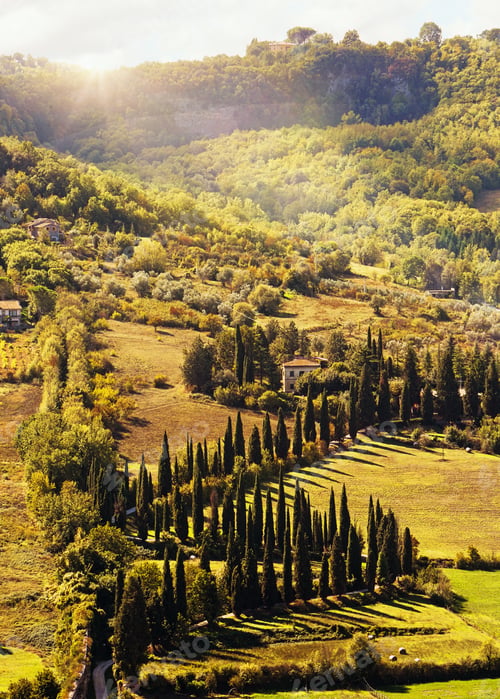 Preview: Countryside in Tuscany Italy With Cyprus Trees