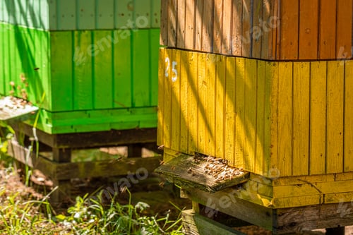 Preview: Colorful beehives with bees in countryside, Poland