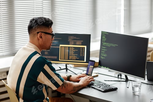 Preview: Software Developer Writing Code