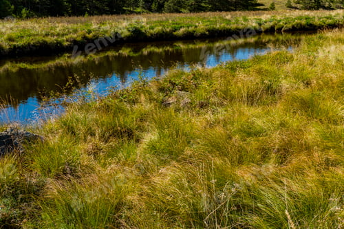 Preview: Crni Rzav river on Zlatibor mountain in Serbia