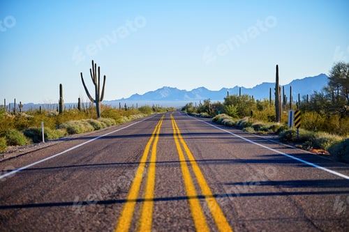 Preview: Desert highway, Organ Pipe Cactus National Monument, Arizona, USA