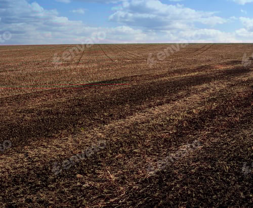 Preview: autumn field with soil and stubble remains after harvest, agriculture
