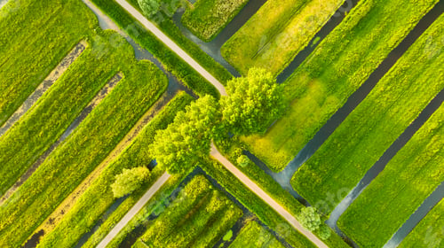 Preview: Aerial view of green field. Netherlands. Canals with water for agriculture.