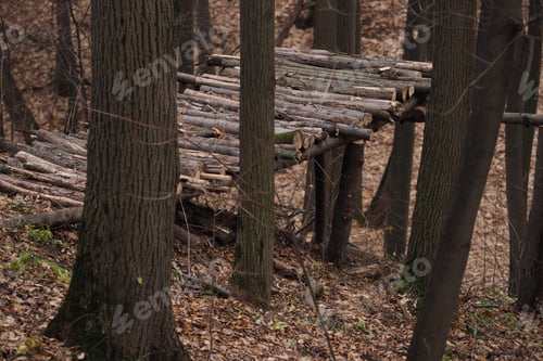 Preview: Survival in the forest. Survival in the wild. A structure made of branches and logs in the forest in
