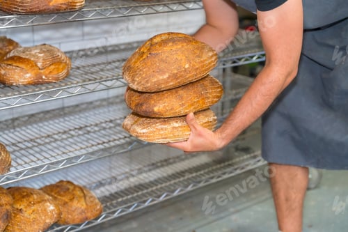 Preview: Employee baker of bakery in workshop workshop of artisan bakery picking up baked bread from oven