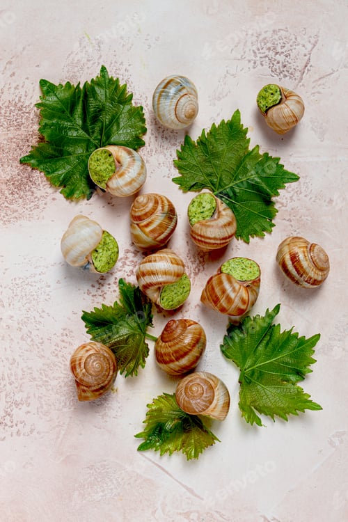 Preview: snails stuffed in Burgundy, top view, with grape leaves, French cuisine, no people,