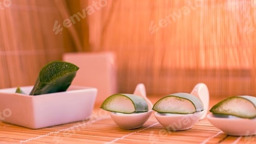 Preview: Photograph of aloe vera