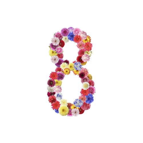 Preview: Number 8 made of beautiful flowers on white background