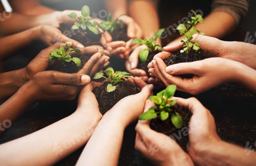 Preview: Everyday should be Earth Day. Cropped shot of a group of people holding plants growing out of soil.