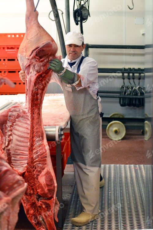 Preview: Processing of pig carcasses in a slaughterhouse