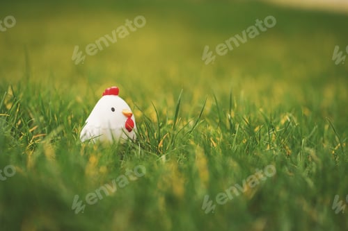 Preview: Chicken in the green