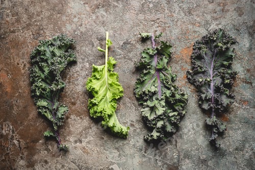 Preview: Kale leaves super vegetable