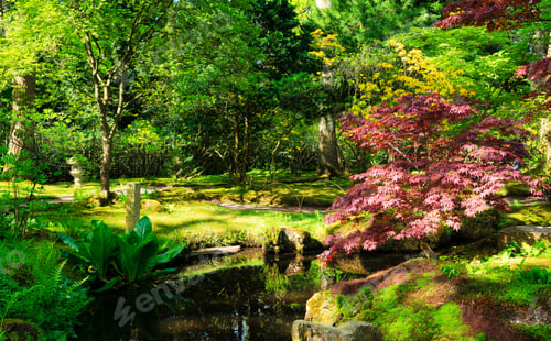 Preview: japanese garden in The Hague