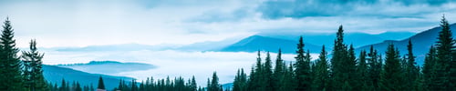Preview: Beautiful sunset in mountain forest wide panorama